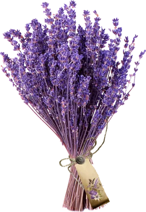 Bouquetof Lavender Flowers.png PNG image