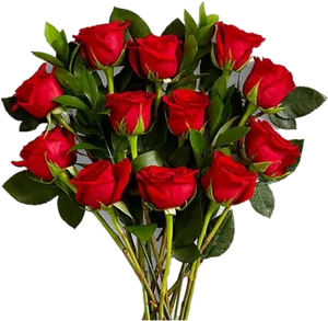 Bouquetof Red Roses PNG image