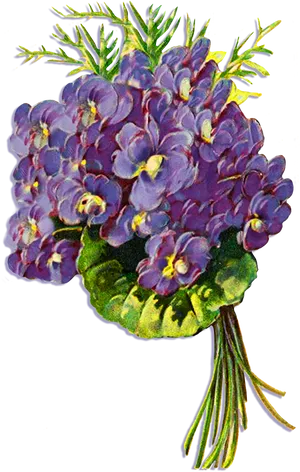 Bouquetof Violets PNG image