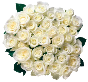 Bouquetof White Roses PNG image