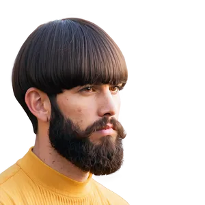Bowl Cut With Beards PNG Gse