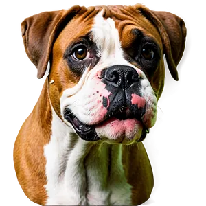 Boxer Dog Head PNG Xlq28
