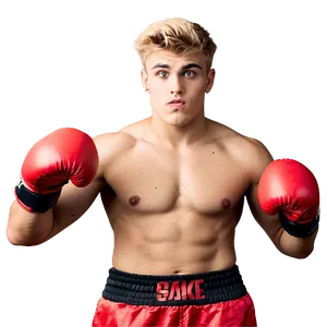 Boxer Pose Jake Paul PNG image