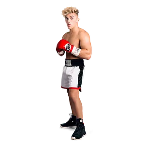 Boxer Pose Transparent Background PNG image