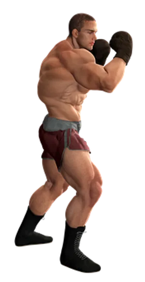 Boxer Ready Stance