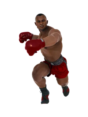 Boxer Readyfor Fight