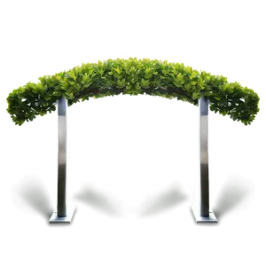 Boxwood Arch PNG 06212024