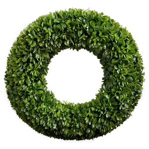 Boxwood Ball PNG Iyn39 PNG