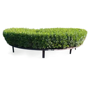 Boxwood Circle PNG 06212024
