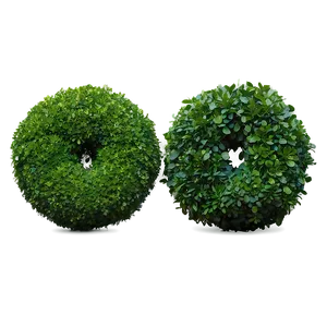 Boxwood Circle PNG 32 PNG