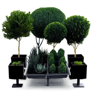 Boxwood Collection PNG 06212024
