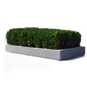 Boxwood Corner PNG 06212024
