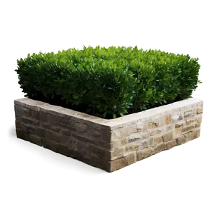 Boxwood Corner PNG Crk