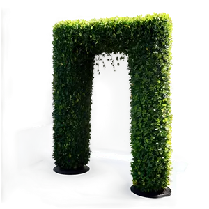 Boxwood Corner PNG Scb95 PNG