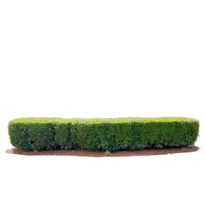Boxwood Edging PNG Faa86 PNG