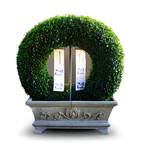 Boxwood For Event Decor PNG 63 PNG