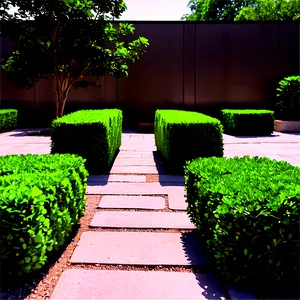Boxwood In Courtyard PNG 06212024