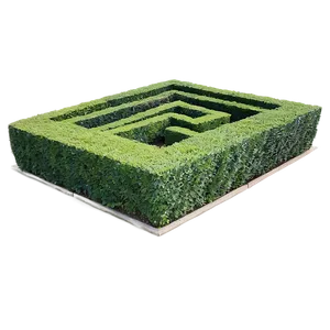 Boxwood In Courtyard PNG 06212024