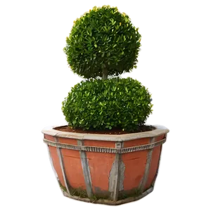 Boxwood In Courtyard PNG Sfg