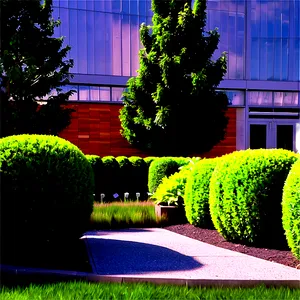 Boxwood In Landscape Design PNG 06212024 PNG