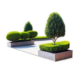 Boxwood In Landscape Design PNG 72 PNG