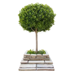 Boxwood Lattice PNG Khb PNG