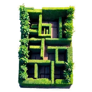 Boxwood Maze PNG 44