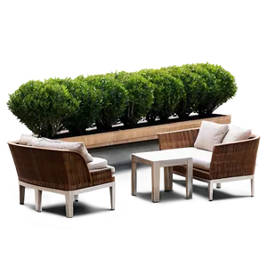 Boxwood On Terrace PNG 06212024