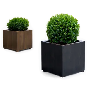 Boxwood Planter PNG 06212024