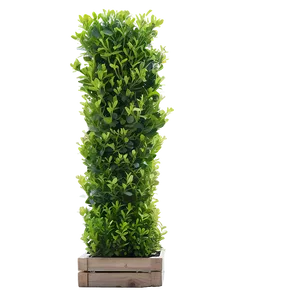 Boxwood Row PNG Lee PNG