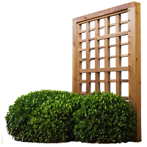 Boxwood Screen PNG Wkq