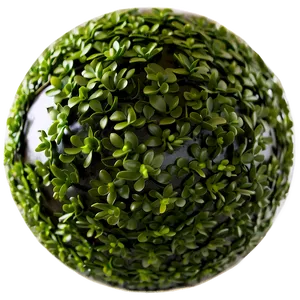 Boxwood Sphere PNG Nfn2 PNG