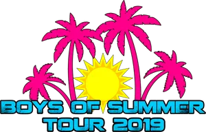 Boysof Summer Tour2019 Graphic PNG image
