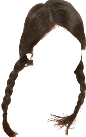 Braided Hairstyleon Black Background