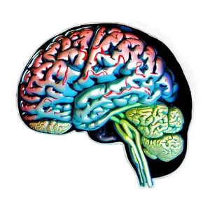 Brain Activation Thinking Png Rtt PNG image