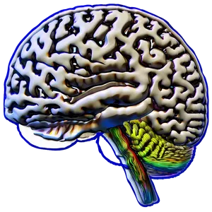 Brain Activity Outline PNG Vdo