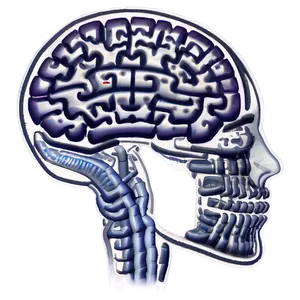 Brain Activity Outline PNG Wum38