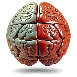 Brain And Heart Balance Png 04292024 PNG image