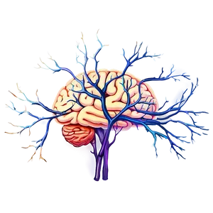 Brain And Neurons Png 71 PNG image