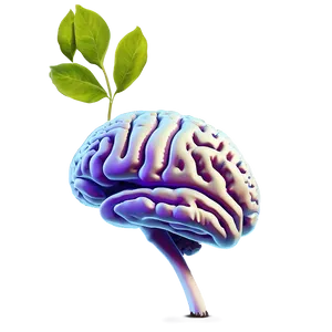 Brain And Plant Growth Png 04292024 PNG image