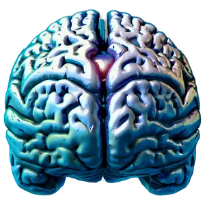 Brain C PNG image