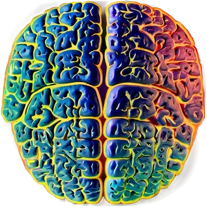 Brain Concept Outline Png 06272024 PNG image