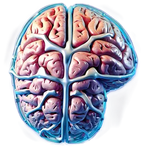 Brain Connection Network Png 27 PNG image