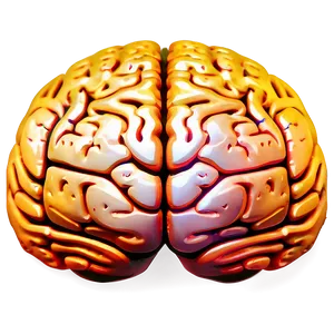 Brain Contour Png 06272024 PNG image