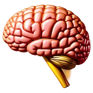 Brain Flex Emoji PNG 33