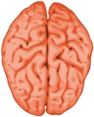 Brain Illustration Abstract PNG image