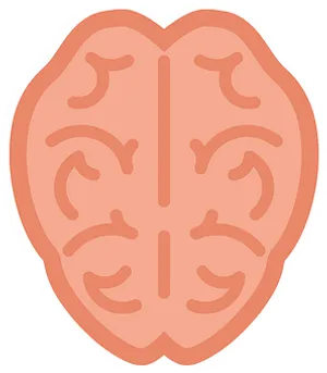 Brain Illustration Graphic PNG image