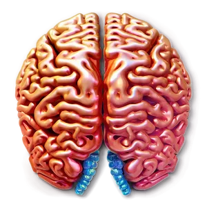 Brain In Light Png 04292024 PNG image