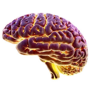 Brain In Light Png Qhx PNG image