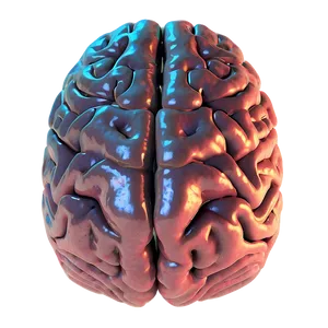 Brain In Light Png Rja75 PNG image